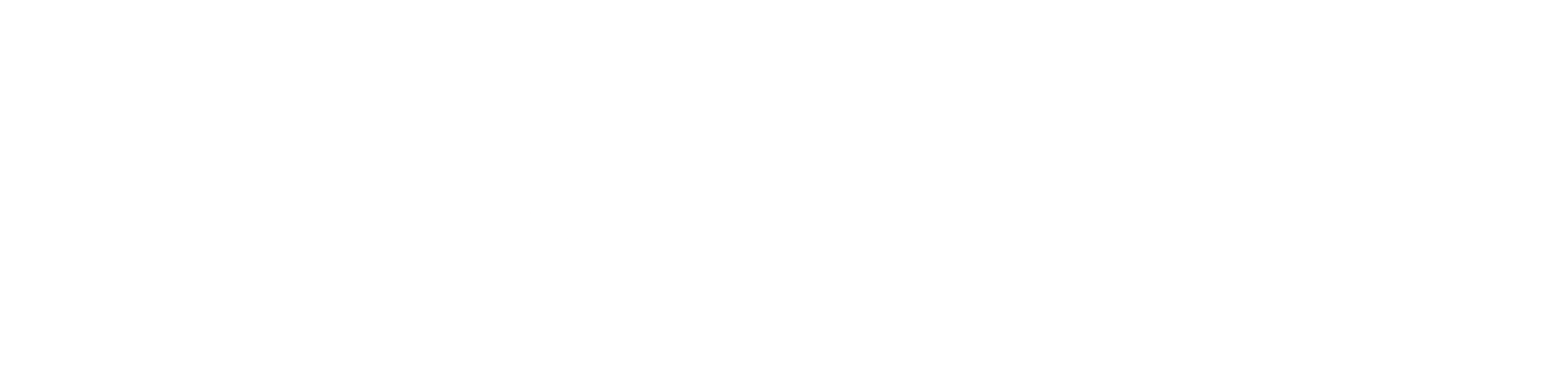 Promoting Diversity in the EU in 2024